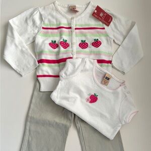 Strawberry 3pc set Faded Glory - 3T